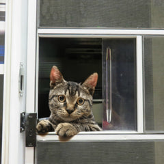 RV Bug Stop **Refurbished**